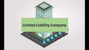 Limited Liability Company